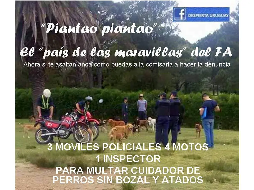 Uruguay - Prioridades de la IMM y la policia, caca de perro