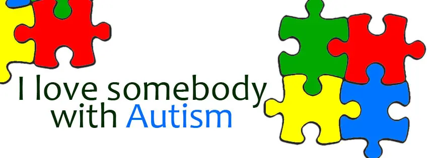 Estrategia Española de Autismo, Publicada