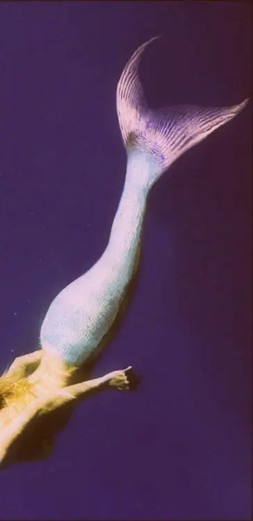 Megapost imagenes psicodelicas