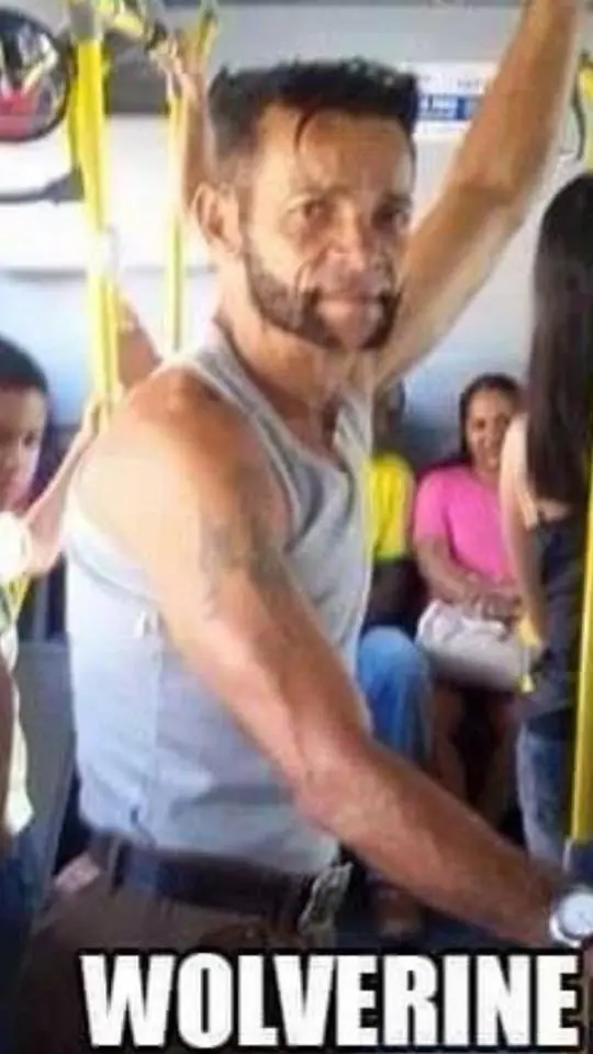 colectivo