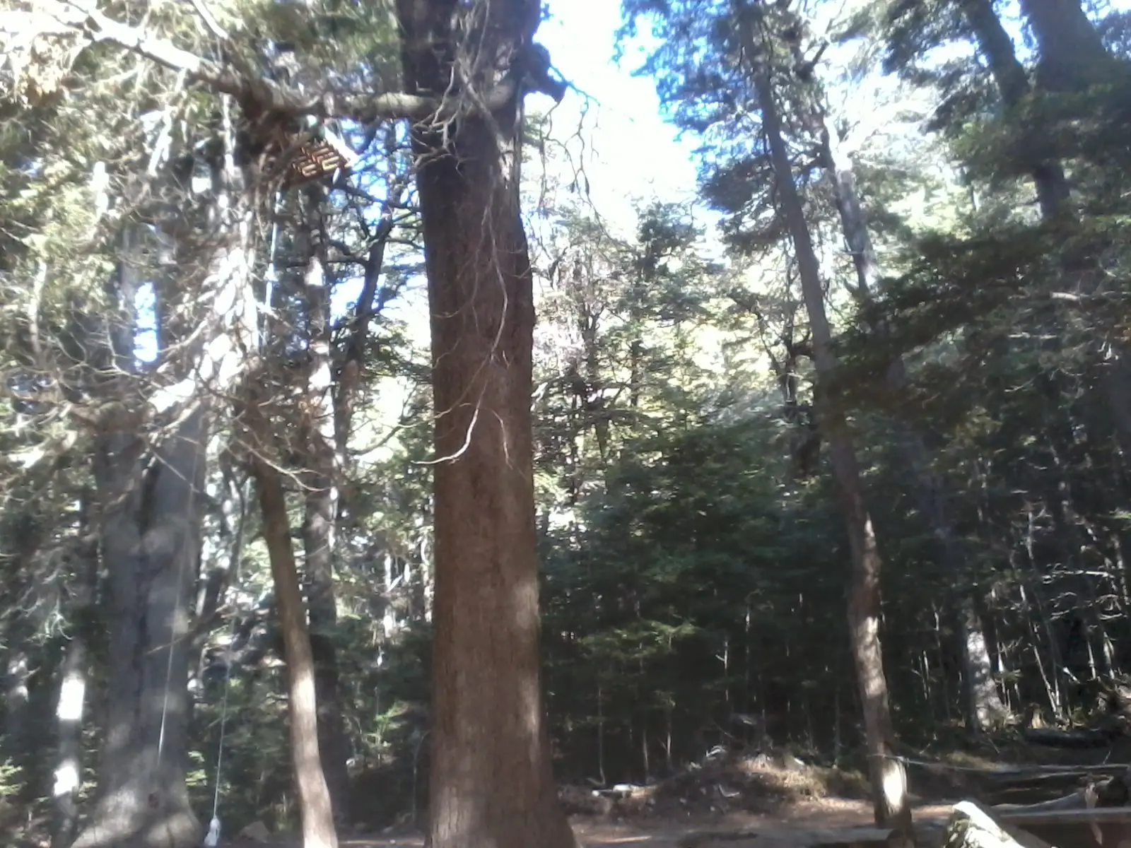 viaje de egresados a bariloche