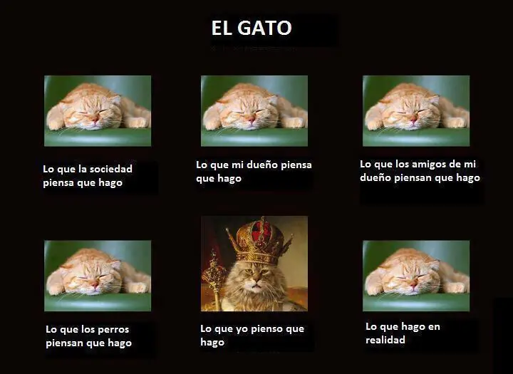 humor grafico