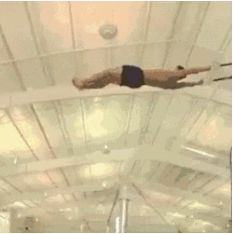 Te traigo humor en forma de gifs, pasa y sonrie un rato Te traigo humor en forma de gifs, pasa y sonrie un rato