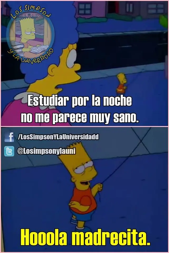 Los simpsons y la universidad