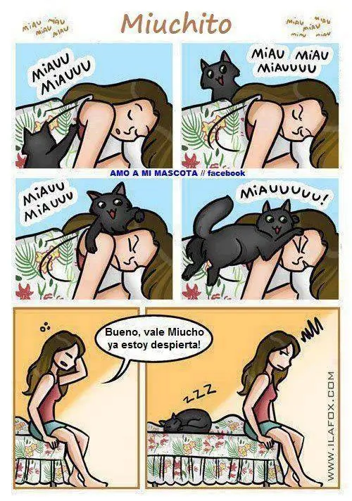 Los Mejores chistes de Animales