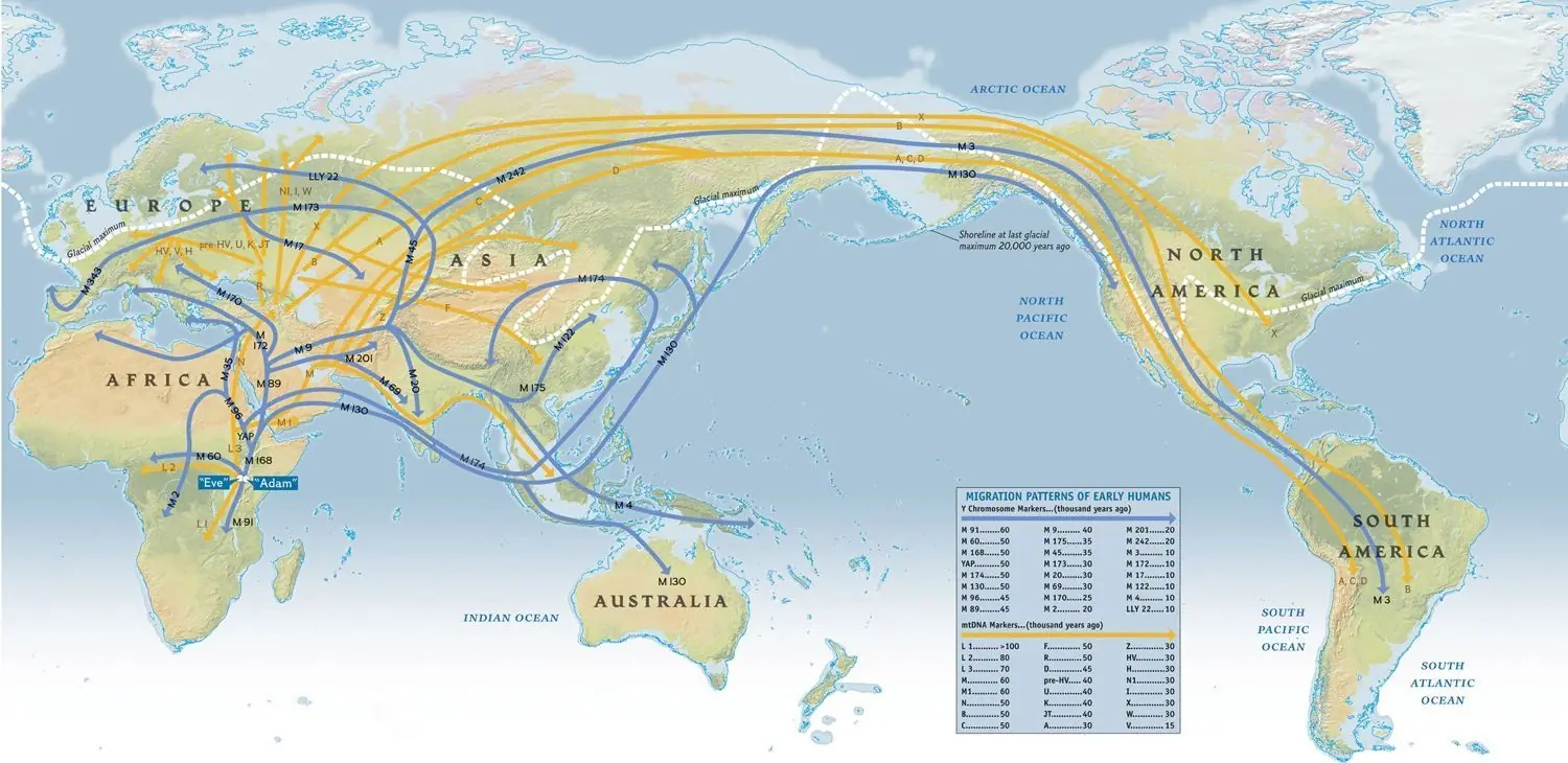 beringia beringia