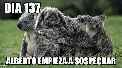 Los Mejores chistes de Animales