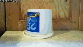 gif gif