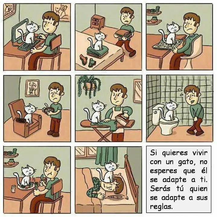humor