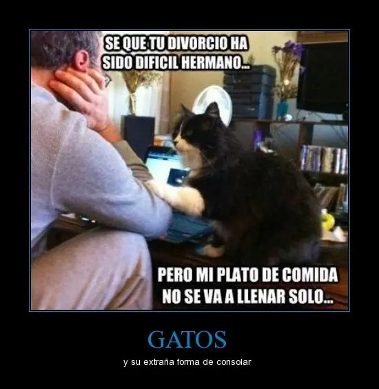 animales