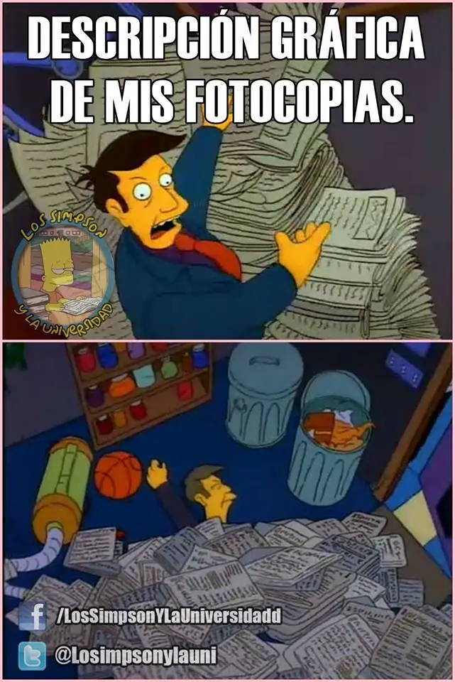Los simpsons y la universidad