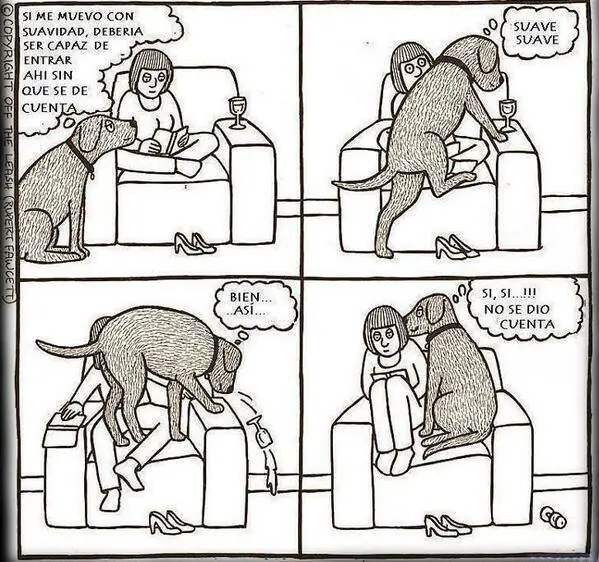 perros