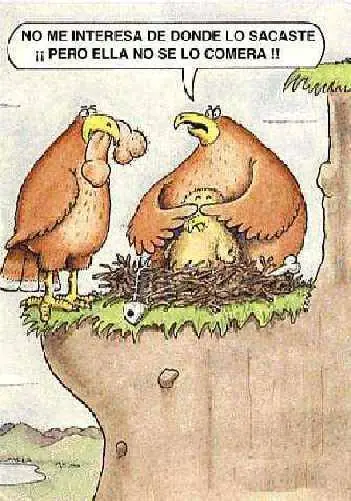 Los Mejores chistes de Animales