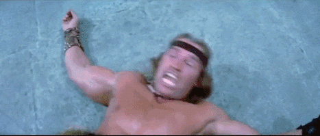 gifs gifs