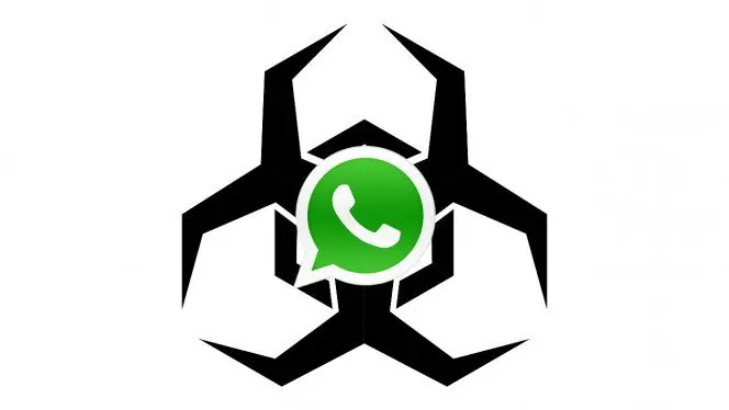 whatsapp whatsapp
