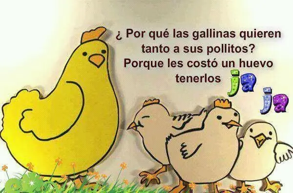 humor grafico