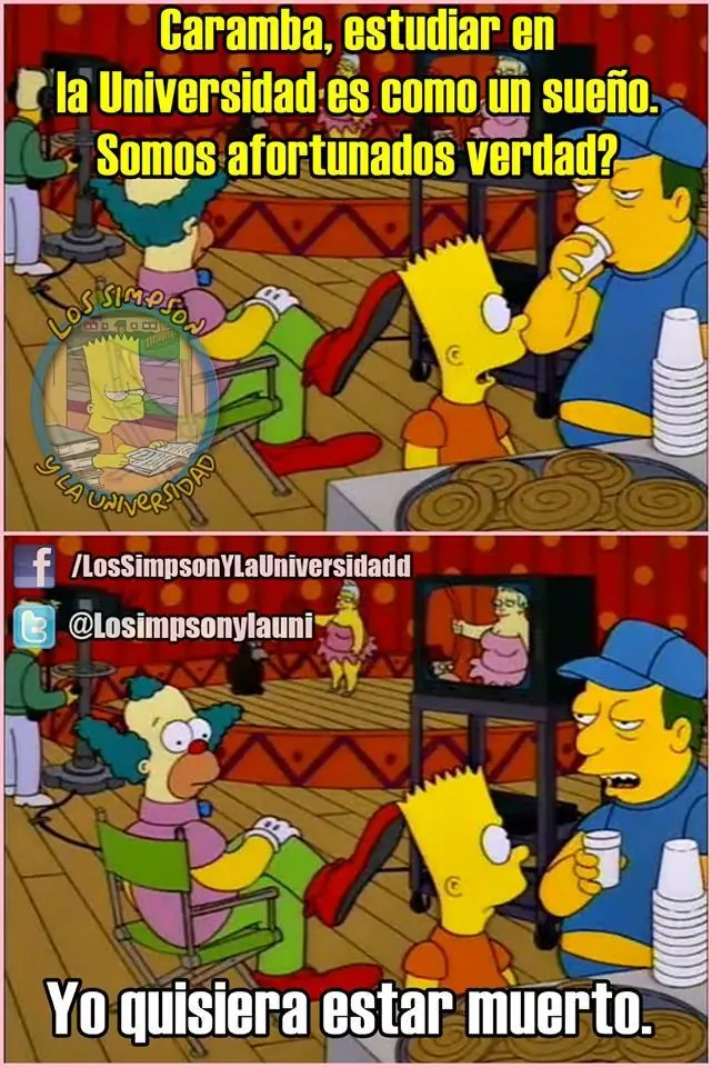 los simpsons y la universidad