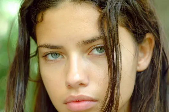 lincesa
