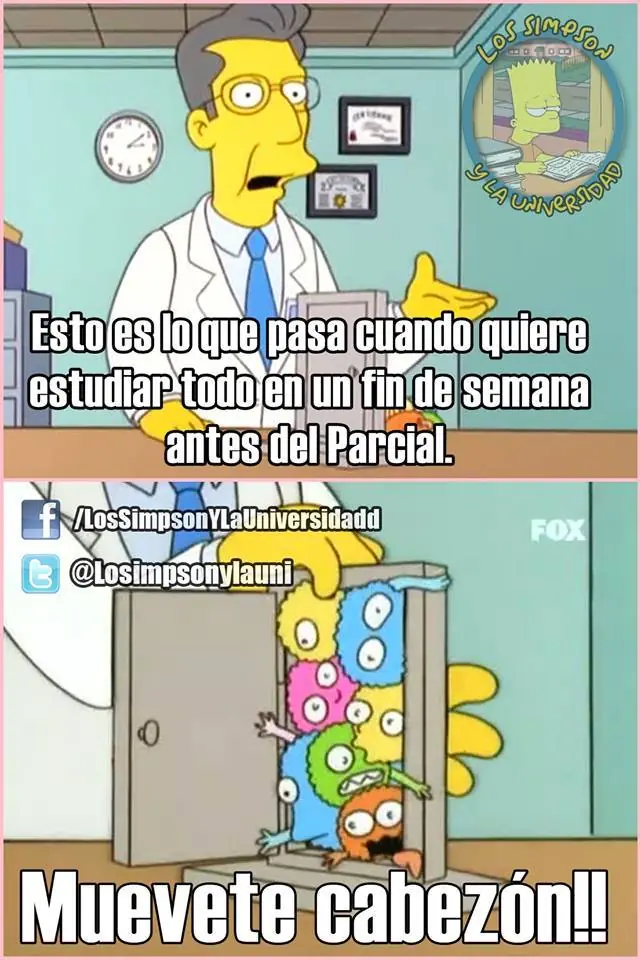 Los simpsons y la universidad