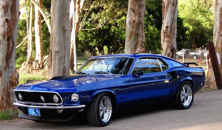 shelby