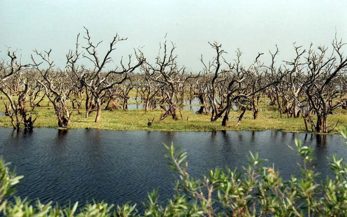 laguna diamante