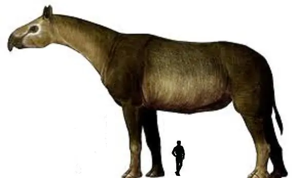 prehistoria