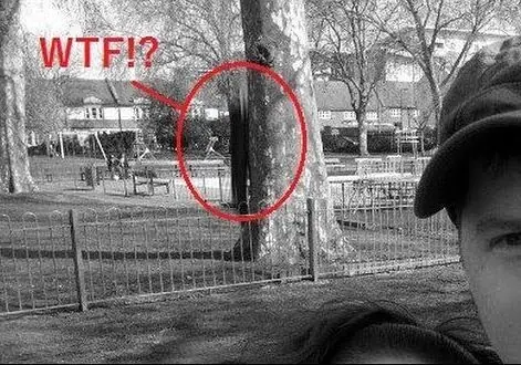 slender