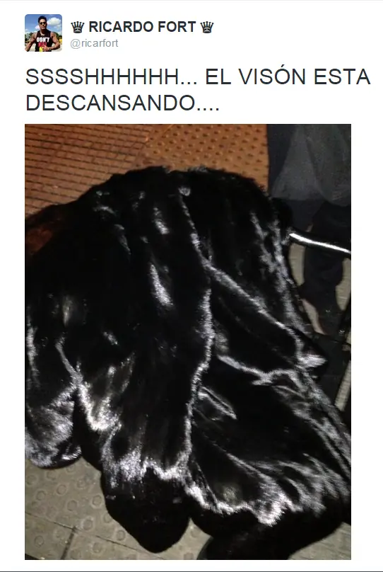 polemica polemica