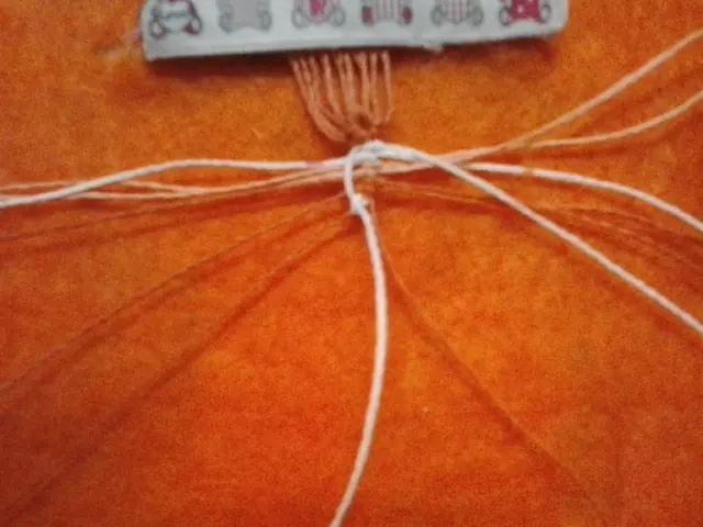 pulsera