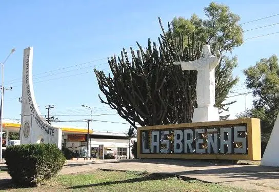 chaco