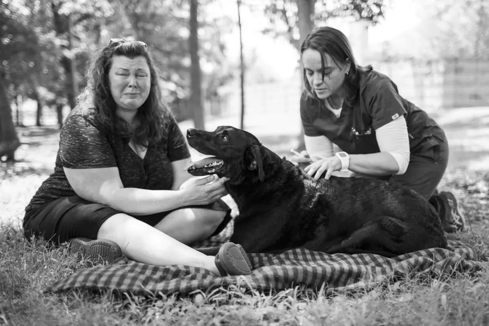 duke el perro con cancer