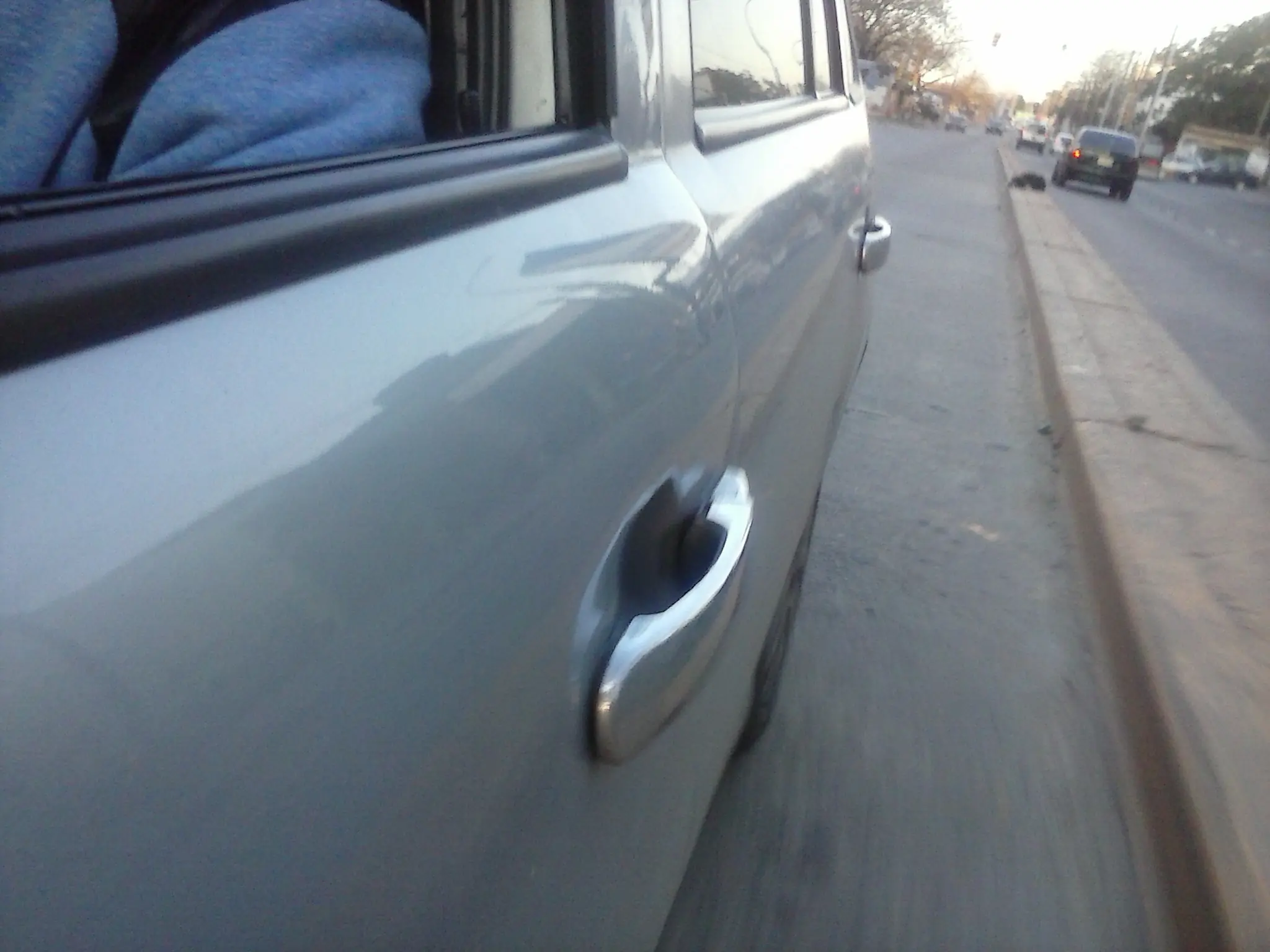 perro en el medio de la calle
