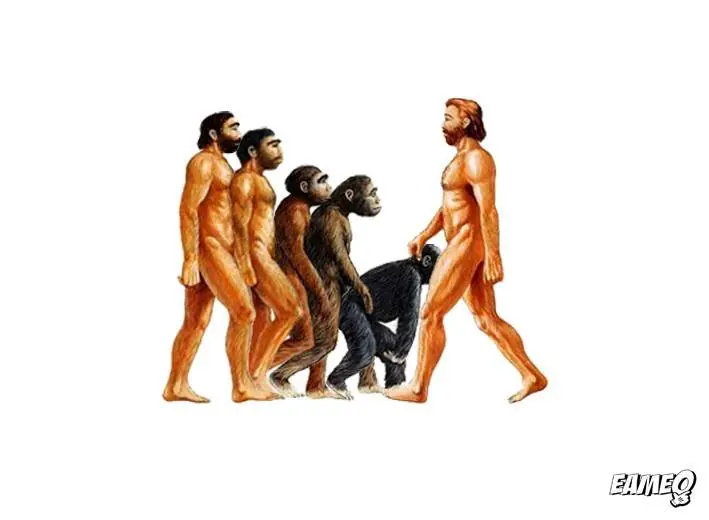 humor