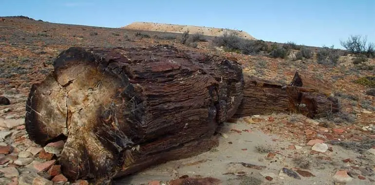 Laguna Galarza