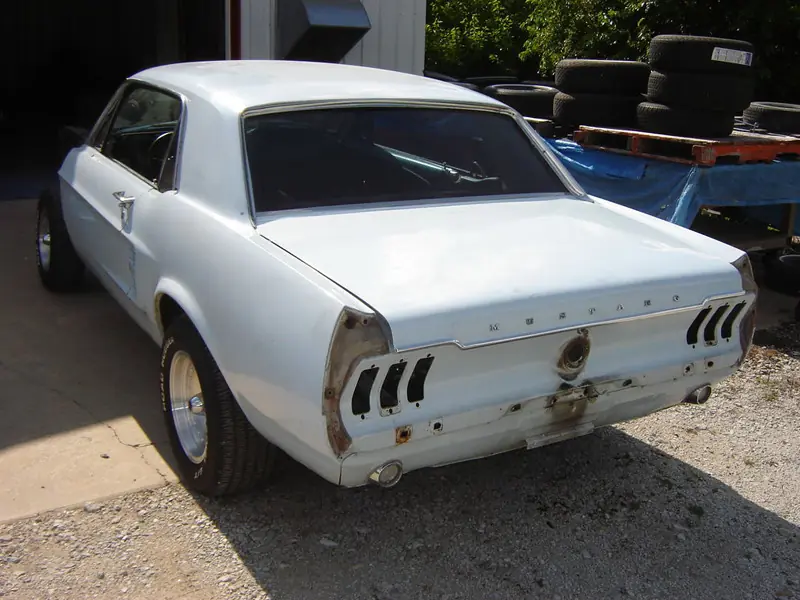 mustang