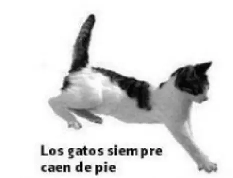 politica