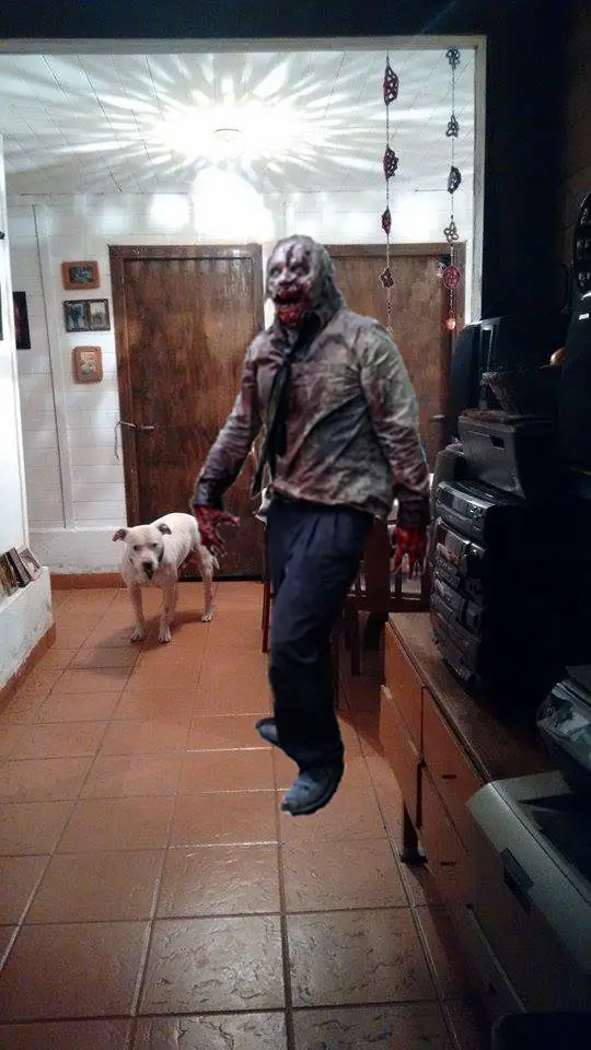 Zombies