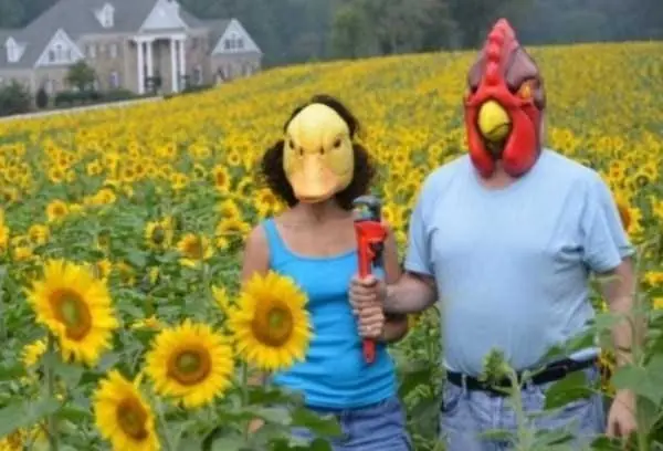 taringueros