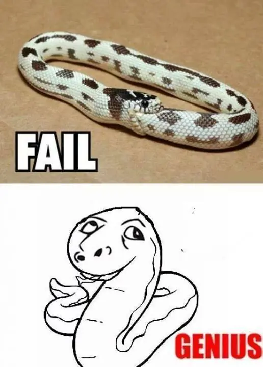 Deseas sentirte inteligente y astuto? Memes Genius