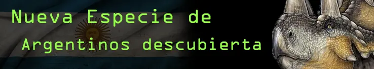 holis holis