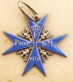 El liderazgo del general Erwin Rommel.