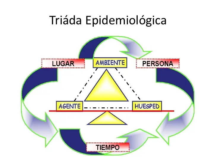 La trinidad es solo Padre, Hijo y Espíritu Santo?... hay mas