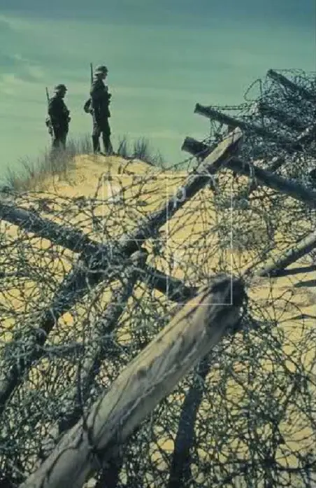 rommel