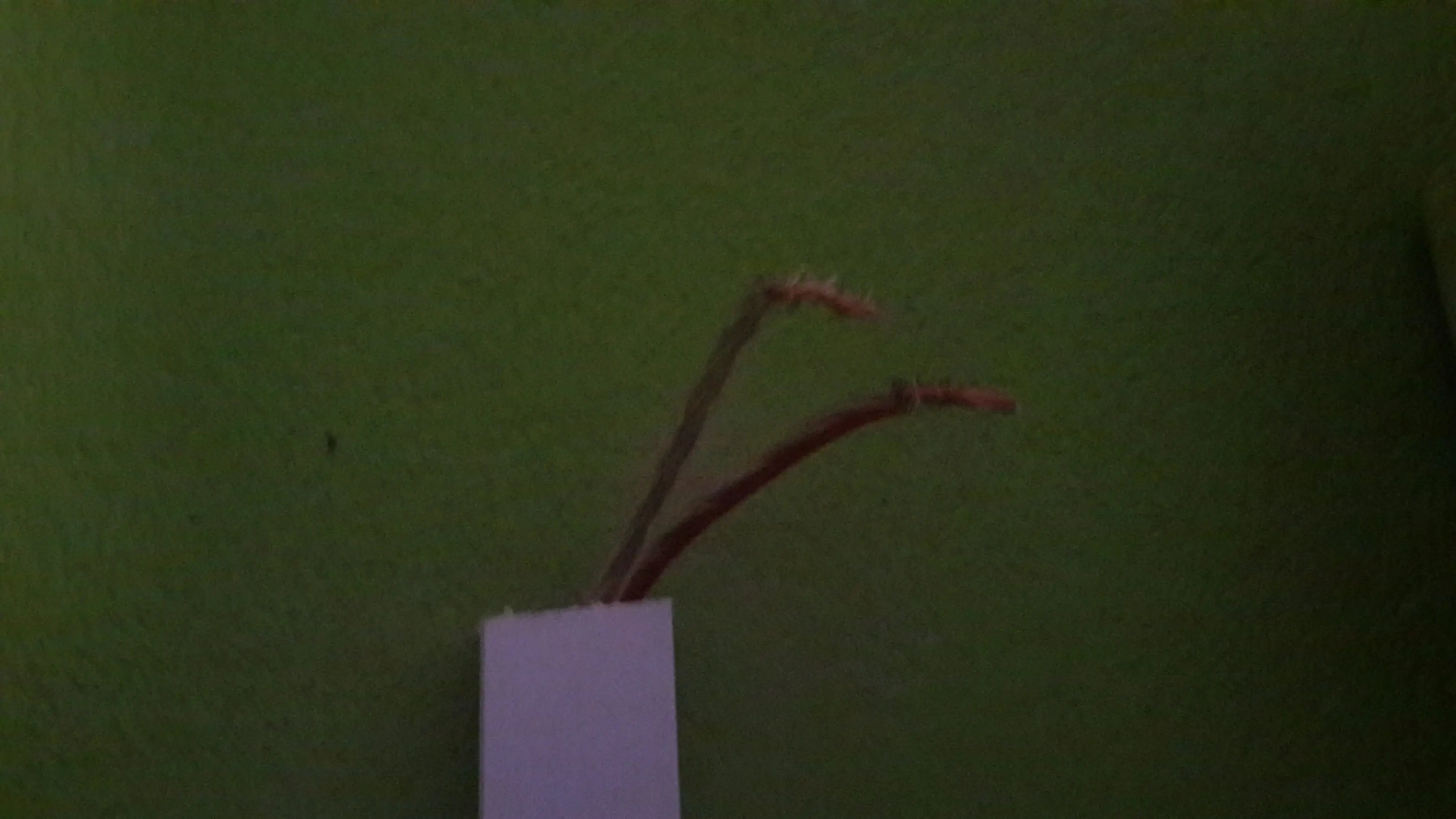 Armando el centro de entretenimiento de mi cuarto