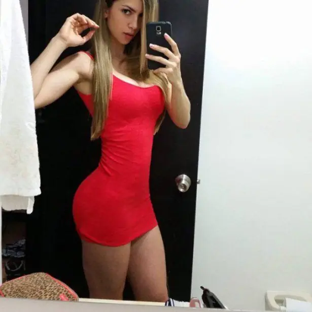 del dia
