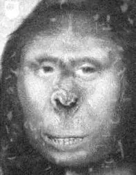 La historia de Zana, la mujer Yeti o Pie grande del Cáucaso