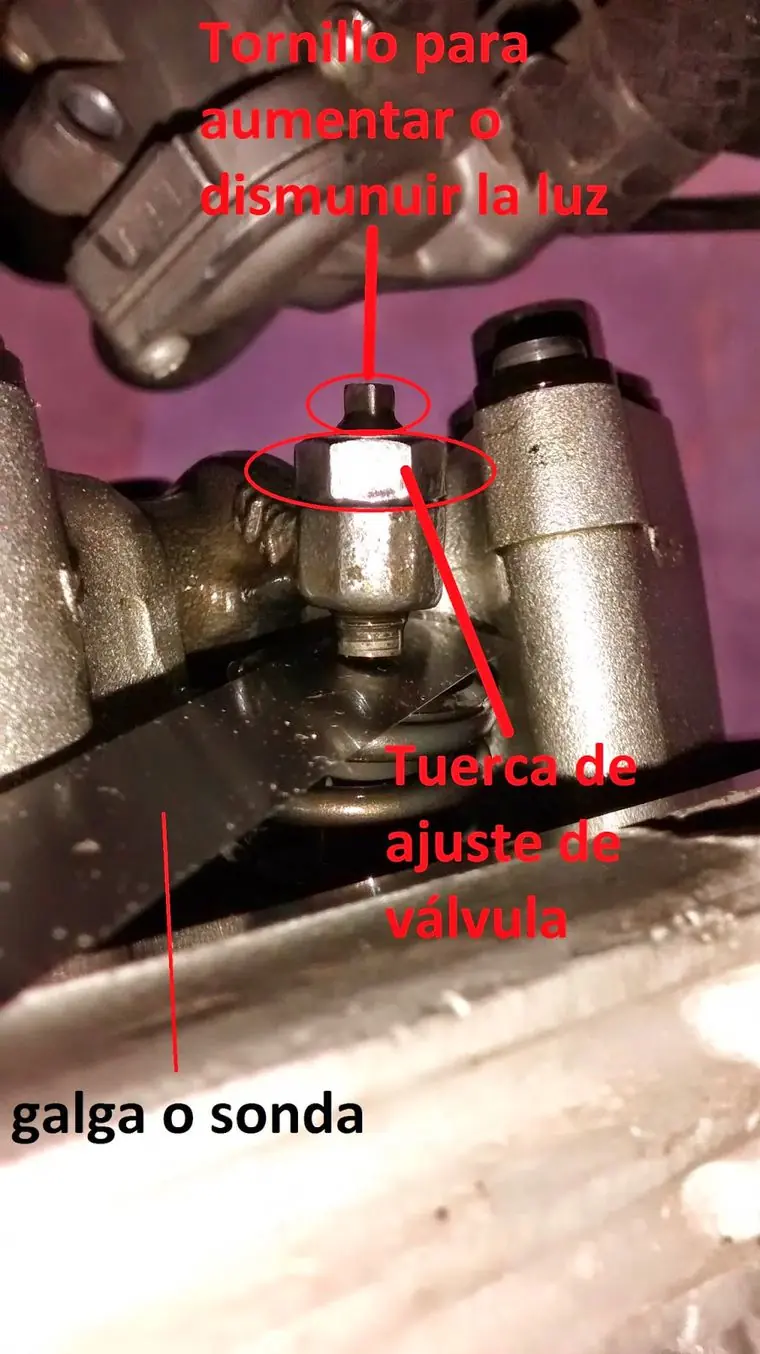 valvulas valvulas