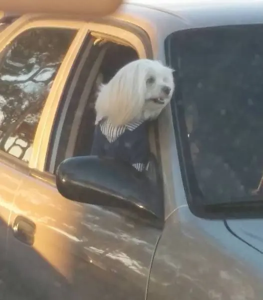 Fotos divertidas y algo más.