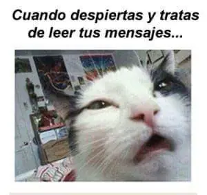 rufianes