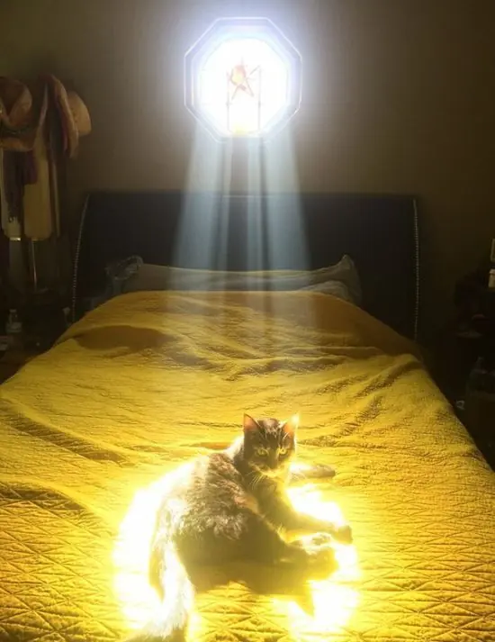 Fotos divertidas y algo más.